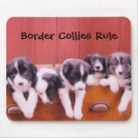Border Collies Rule Mousepad
