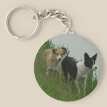 Border Collies - Tipper/Dixie ashore keychains