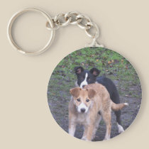 - Border Collies - Tipper/Dixie pup keychains