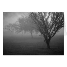 Border of Morning Greeting Cards