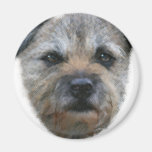 Border Terrier dog Magnets