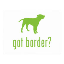 Border Terrier Postcards