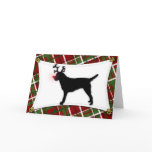Border Terrier Reindeer Christmas Card