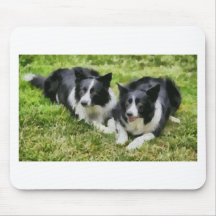 borderCollieDuoFull.jpg Mousepads