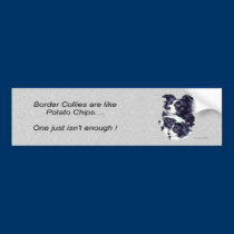 bordercollies_bumpersticker1 bumper stickers