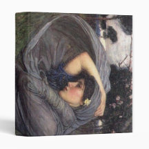 Boreas 3 Ring Binders