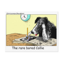Bored Border Collie Funny Gifts Tees Collectibles Postcard