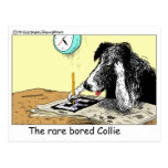Bored Border Collie Funny Gifts Tees Collectibles Postcard
