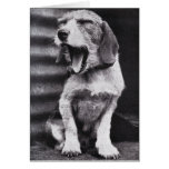 Bored Dog Card