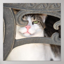Boris Kitty Canvas Wall Art Poster