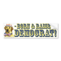 Born And Raised Democrat  Bumper Sticker 