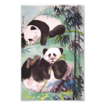 born free photo print