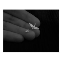 Born from Fingers Post Cards