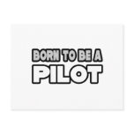 Born To Be A Pilot