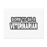 Born To Be A Veterinarian