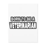 Born To Be A Veterinarian
