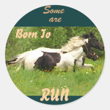 Born To Run Pinto Stickers