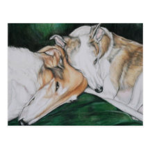 Boroi and Whippet Dlog Art Postcard