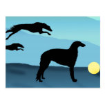 Borzoi Dogs Chasing Ball Post Card
