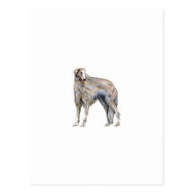 Borzoi Postcards
