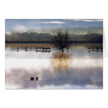 Bosque Del Apache Card