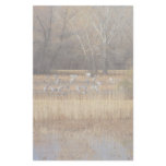 Bosque del Apache Cranes Stationery
