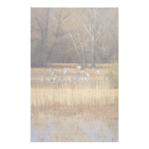 Bosque del Apache Cranes Stationery