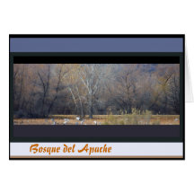 Bosque del Apache NWR Card