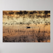 Bosque del Apache Posters