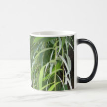 Bosquet Mugs À Café