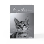 Boss, Have a PURR-fectly MEOW-velous Birthday! Greeting Card