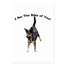 Boss of You Catahoula Dog Business Card Template