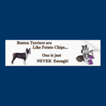 boston_bumpersticker1a bumper stickers