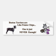 boston_bumpersticker1a bumper stickers