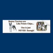 boston_bumpersticker2a bumper stickers