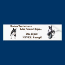 boston_bumpersticker3a bumper stickers