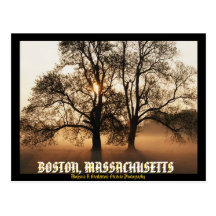Boston Massachessett Post card Mojisola Okubule