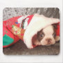 Boston Pup in Christmas Stocking Mouse Mats