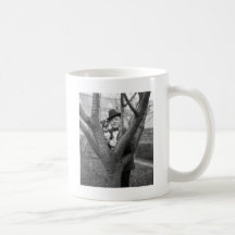 Boston Terrier, 1920s Mug