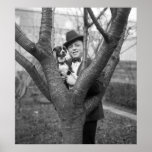 Boston Terrier, 1920s Print