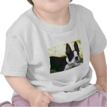 boston-terrier-1 tees