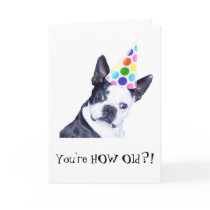 Boston Terrier Birthday Party - Card