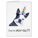 Boston Terrier Birthday Party - Card