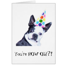 Boston Terrier Birthday Party - Card