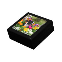 Boston Terrier Coffrets Cadeaux