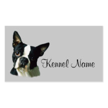 Boston Terrier Breeder Business Card
