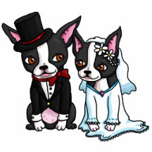 Boston Terrier Bride and Groom Photo Sculpture.