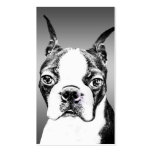 Boston Terrier Business Card