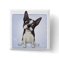 Boston Terrier