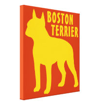 Boston Terrier Canvas Print